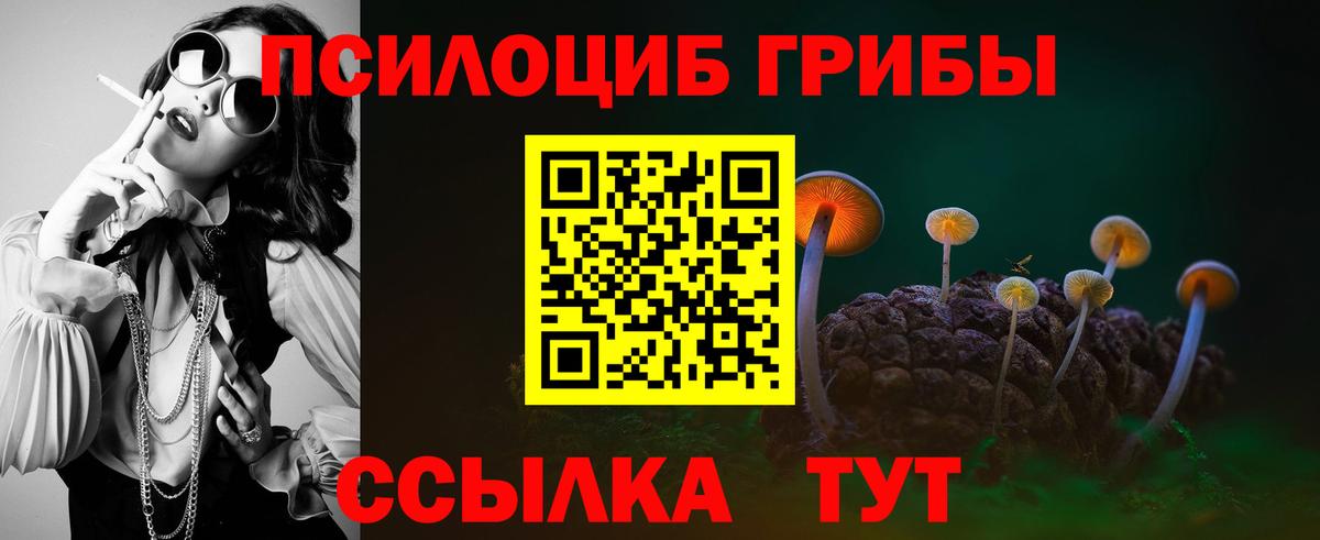 Псилоцибиновые грибы GOLDEN TEACHER Новый Уренгой