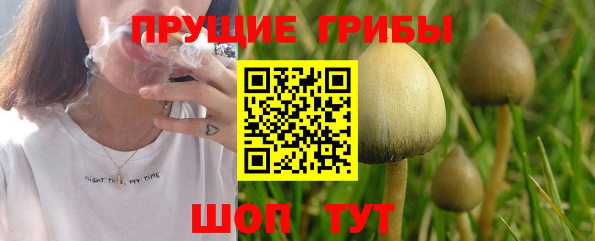 Новый Уренгой  Галлюциногенные грибы ЛСД  Галлюциногенные грибы Psilocybine cubensis  где найти   Вход с VPN 